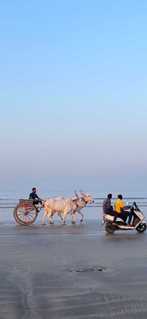 An oxcart and a scooter on the sand at Akshi beach, India